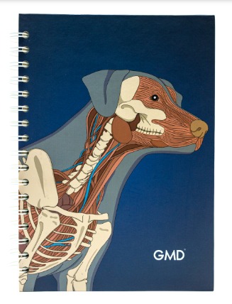 CUADERNO ARGOLLADO GMD PERRO ANATOMIA