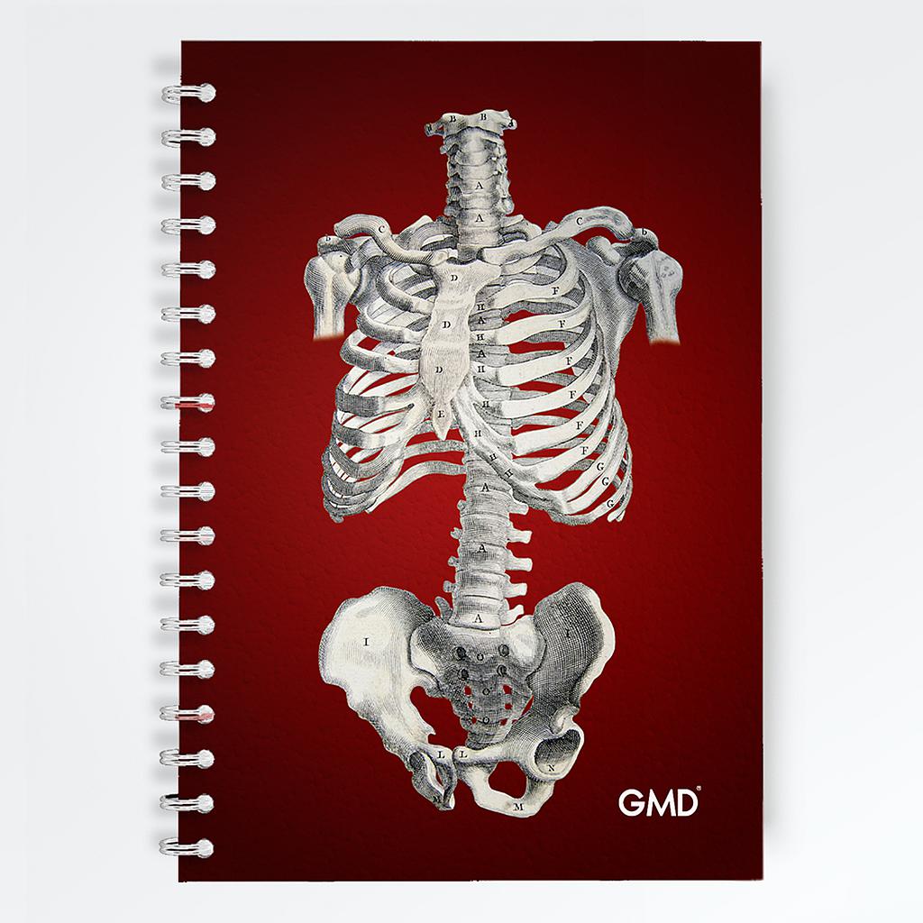 CUADERNO ARGOLLADO GMD SISTEMA OSEO  DEL TORSO