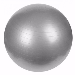 [070135G] BOLA GIMNASIA 55 CM GRIS SPORT FITNESS